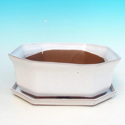 Bonsai bowl tray H14 - bowl 17,5 x 17,5 x 6,5, tray 17,5 x 17,5 x 1,5, White  - bowl 17.5 x 17.5 x 6.5, saucer 17.5 x 17.5 x 1.5 - 1