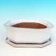 Bonsai bowl + tray H 13 - bowl11,5 x 11,5 x 4,5 cm, tray 11,5 x 11,5 x 1 cm, white - bowl 11,5 x 11,5 x 4,5 cm, tray 11,5 x 11,5 x 1 cm - 1/3