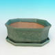 Bonsai bowl + tray H 13 - bowl11,5 x 11,5 x 4,5 cm, tray 11,5 x 11,5 x 1 cm, green - bowl 11,5 x 11,5 x 4,5 cm, podmiska 11,5 x 11,5 x 1 cm - 1/4
