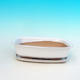 Bonsai bowl + tray H02 - tray 19 x 13,5 x 5 cm, tray 17 x 12 x 1 cm, white - bowl 19 x 13,5 x 5 cm, tray 17 x 12 x 1 cm - 1/4