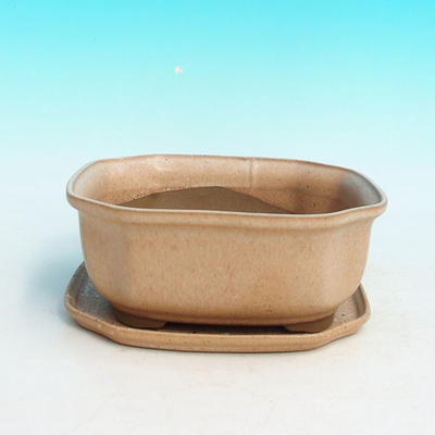 Bonsai bowl H31 - bowl 14,5 x 12,5 x 6 cm, bowl 14,5 x 12,5 x 1 cm, beige - bowl 14,5 x 12,5 x 6 cm, tray 14,5 x 12,5 x 1 cm - 1