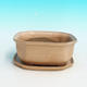 Bonsai bowl H31 - bowl 14,5 x 12,5 x 6 cm, bowl 14,5 x 12,5 x 1 cm, beige - bowl 14,5 x 12,5 x 6 cm, tray 14,5 x 12,5 x 1 cm - 1/4