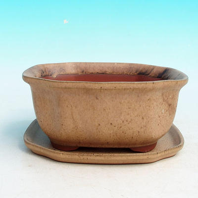 Bonsai bowl tray H32 - bowl 12.5 x 10.5 x 6 cm, tray 12.5 x 10.5 x 1 cm, beige bowl 12.5 x 10.5 x 6 cm, tray 12.5 x 10.5 x 1 cm - 1