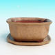 Bonsai bowl tray H32 - bowl 12.5 x 10.5 x 6 cm, tray 12.5 x 10.5 x 1 cm, beige bowl 12.5 x 10.5 x 6 cm, tray 12.5 x 10.5 x 1 cm - 1/4