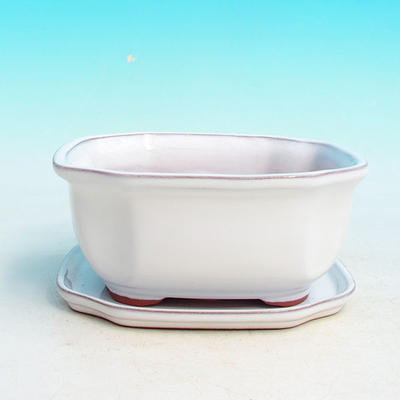 Bonsai bowl tray H32 - bowl 12.5 x 10.5 x 6 cm, tray 12.5 x 10.5 x 1 cm, white bowl 12.5 x 10.5 x 6 cm, tray 12.5 x 10.5 x 1 cm - 1