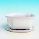Bonsai bowl tray H32 - bowl 12.5 x 10.5 x 6 cm, tray 12.5 x 10.5 x 1 cm, white bowl 12.5 x 10.5 x 6 cm, tray 12.5 x 10.5 x 1 cm - 1/4