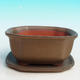 Bonsai bowl tray H32 - bowl 12.5 x 10.5 x 6 cm, tray 12.5 x 10.5 x 1 cm, brown bowl 12.5 x 10.5 x 6 cm, tray 12.5 x 10.5 x 1 cm - 1/4