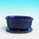 Bonsai bowl tray H32 - bowl 12.5 x 10.5 x 6 cm, tray 12.5 x 10.5 x 1 cm, blue bowl 12.5 x 10.5 x 6 cm, tray 12.5 x 10.5 x 1 cm - 1/4