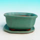 Bonsai bowl tray H32 - bowl 12.5 x 10.5 x 6 cm, tray 12.5 x 10.5 x 1 cm, green bowl 12.5 x 10.5 x 6 cm, tray 12.5 x 10.5 x 1 cm - 1/4