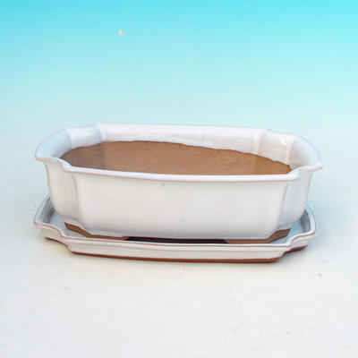 Bonsai bowl tray H03 - 16,5 x 11,5 x 5 cm, tray 16,5 x 11,5 x 1 cm, white - 16.5 x 11.5 x 5 cm, tray 16.5 x 11.5 x 1 cm - 1