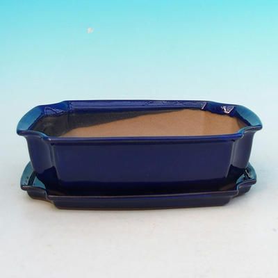 Bonsai bowl tray H03 - 16,5 x 11,5 x 5 cm, tray 16,5 x 11,5 x 1 cm, blue - 16,5 x 11,5 x 5 cm, tray 16,5 x 11,5 x 1 cm - 1