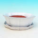 Bonsai bowl tray H06 - bowl 14,5 x 14,5 x 4,5, tray 13,5 x 13,5 x 1,5 cm, green - bowl 14,5 x 14,5 x 4,5, tray 13,5 x 13,5 x 1,5 cm - 1/4