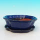 Bonsai bowl tray H06 - bowl 14,5 x 14,5 x 4,5, tray 13,5 x 13,5 x 1,5 cm, white - bowl 14,5 x 14,5 x 4,5, tray 13,5 x 13,5 x 1,5 cm - 1/4