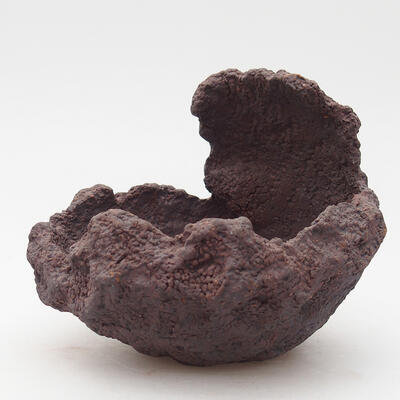 Ceramic shell 11.5 x 12 x 11.5 cm, color brown - 1