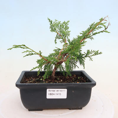 Ceramic bonsai bowl 16.5 x 13.5 x 3.5 cm, color green - 1