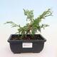 Ceramic bonsai bowl 16.5 x 13.5 x 3.5 cm, color green - 1/3