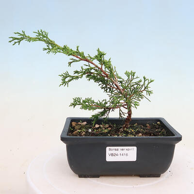 Ceramic bonsai bowl 17 x 17 x 4.5 cm, color brown-green - 1