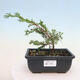 Ceramic bonsai bowl 17 x 17 x 4.5 cm, color brown-green - 1/3