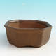 Ceramic bonsai bowl H 13 - 11,5 x 11,5 x 4,5 cm, brown - 11.5 x 11.5 x 4.5 cm - 1/3