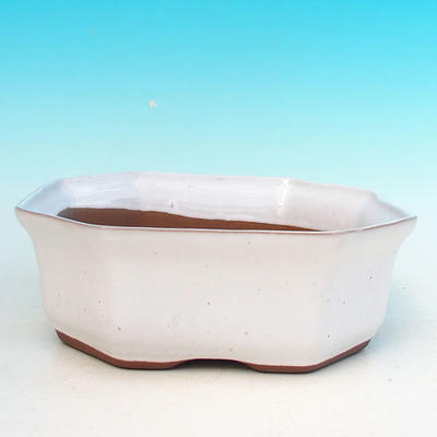 Ceramic bonsai bowl H 14 - 17,5 x 17,5 x 6,5 cm, white - 17.5 x 17.5 x 6.5 cm - 1