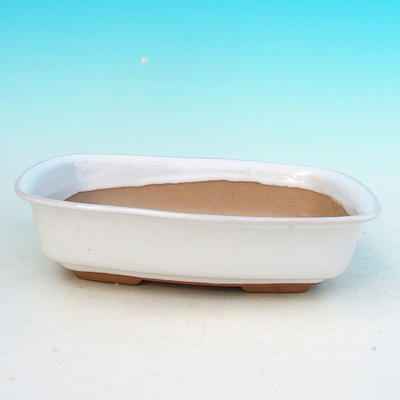 Ceramic bonsai bowl H 02 - 19 x 13,5 x 5 cm, white - 19 x 13.5 x 5 cm - 1