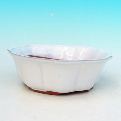 Ceramic bonsai bowl H 06 - 14,5 x 14,5 x 4,5 cm, white - 14.5 x 14.5 x 4.5 cm - 1