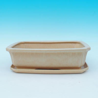 Bonsai pot  and tray of water  H07, beige - 1