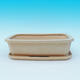 Bonsai pot  and tray of water  H07, beige - 1/3