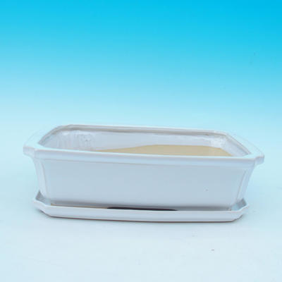 Bonsai pot  and tray of water  H07, white - 1
