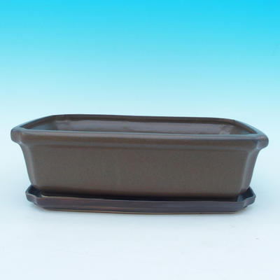 Bonsai pot  and tray of water  H07, brown - 1