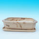 bonsai bowl and tray of water H 20, beige - 1/3