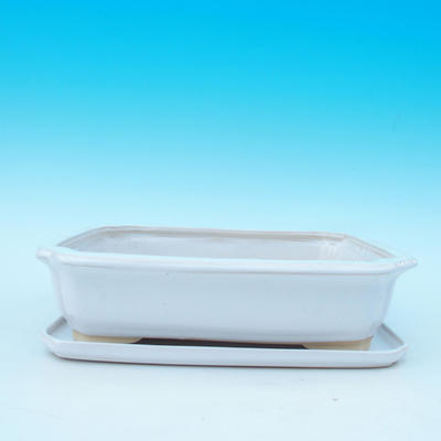 bonsai bowl and tray of water H 20, white - 1