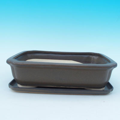 bonsai bowl and tray of water H 20, brown - 1