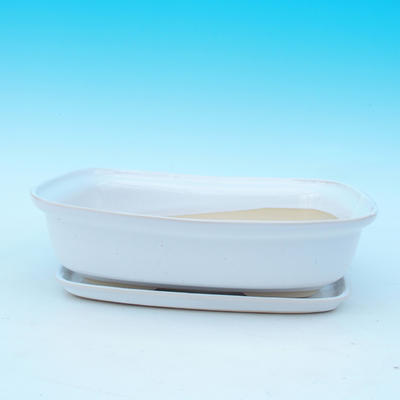 Bonsai bowl + tray H09 - bowl 31 x 21 x 8 cm, tray 28 x 19 x 1,5 cm, white - bowl 31 x 21 x 8 cm, tray 28 x 19 x 1,5 cm - 1