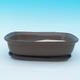 Bonsai bowl, tray H 08 - bowl 24,5 x 18 x 7 cm, tray 23 x 16 x 1,5 cm, brown - bowl 24,5 x 18 x 7 cm, tray 23 x 16 x 1,5 cm - 1/3