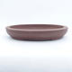 Bonsai bowl 41 x 33 x 7 cm - 1/7