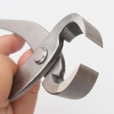 Pliers for roots 22 cm - stainless steel - 1