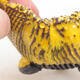 Ceramic shell 7 x 7 x 5.5 cm, color yellow - 2/3