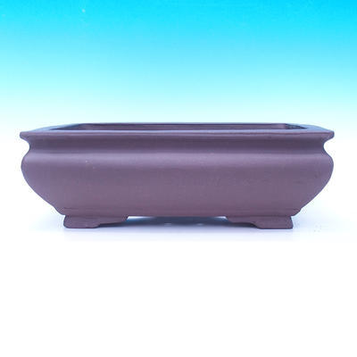 Bonsai bowl 41 x 28 x 13 cm - 2
