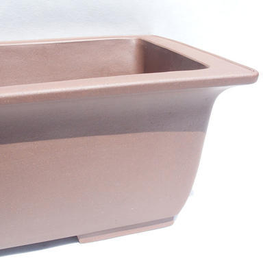 Bonsai bowl 49 x 32 x 19 cm - 2