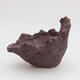 Ceramic shell 14 x 12 x 11.5 cm, color brown - 2/3