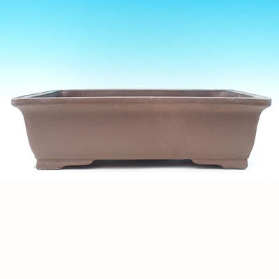 Bonsai bowl 50 x 35 x 15 cm - 2