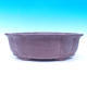 Bonsai bowl 55 x 44 x 18 cm - 2/7