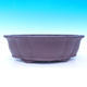 Bonsai bowl 45 x 35 x 13 cm - 2/7