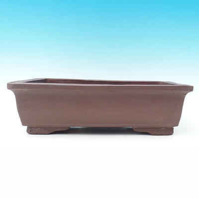 Bonsai bowl 40 x 24 x 13 cm - 2