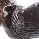 Ceramic Shell 8 x 8 x 6 cm, brown color - 2/3