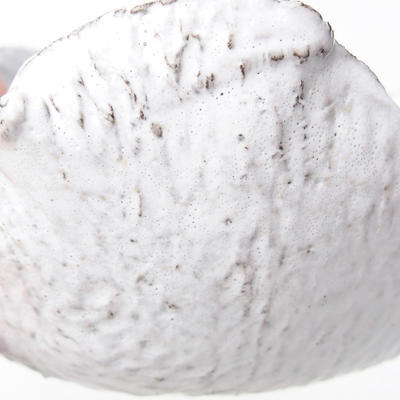 Ceramic Shell 7,5 x 7 x 5,5 cm, white color - 2