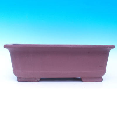 Bonsai bowl 49 x 34 x 16 cm - 2