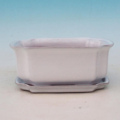 Bonsai bowl + tray H01 - tray 12 x 9 x 5 cm, tray 11,5 x 8,5 x 1 cm, white - bowl 12 x 9 x 5 cm, tray 11,5 x 8,5 x 1 cm - 2