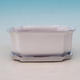 Bonsai bowl + tray H01 - tray 12 x 9 x 5 cm, tray 11,5 x 8,5 x 1 cm, white - bowl 12 x 9 x 5 cm, tray 11,5 x 8,5 x 1 cm - 2/3